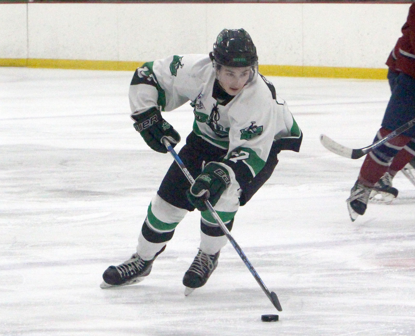 Fairbanks Ice Dogs at Chippewa Steel 12-29-18